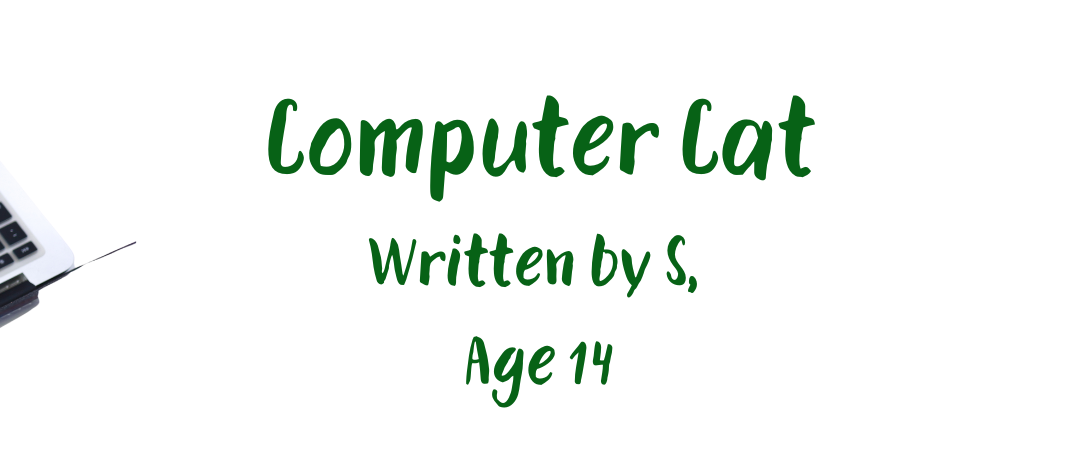 Computer Cat Poem